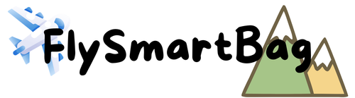 FlySmartBag